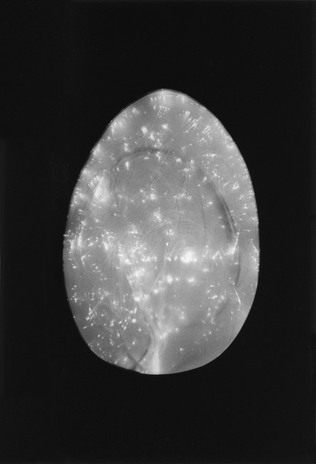 Michael de Courcy, Tom Obsourne and his Fibre Optic Egg, 1969