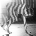 Jack Dale, WECO dancer Heather McCallum performing at the Motion Studio, 1966