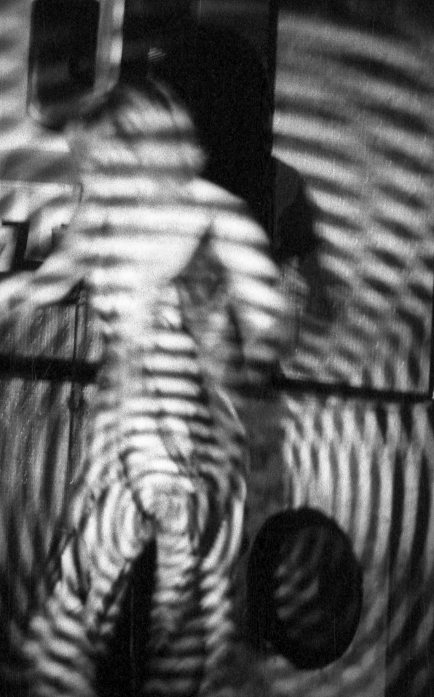 Jack Dale, Participant dancing in front of the bandstand at the Trips Festival, 1966