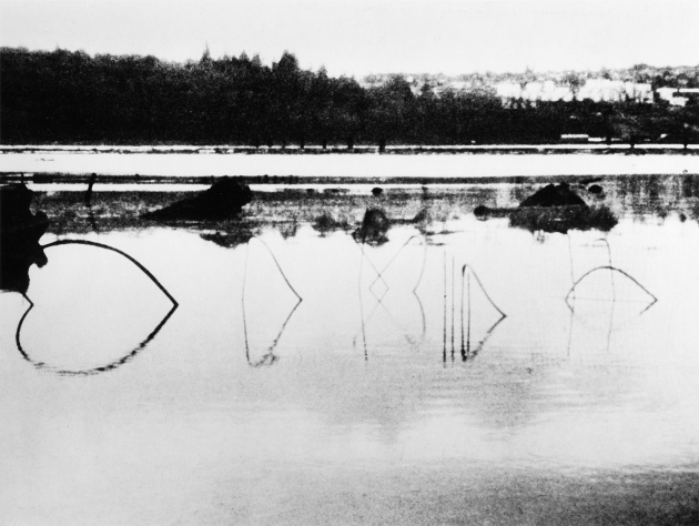 Tom Burrows, Untitled sculpture installed in Maplewood Mud Flats, 1971